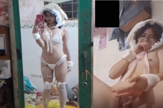 Thỏ nghịch ngợm quyến rũ săn lùng anh sói